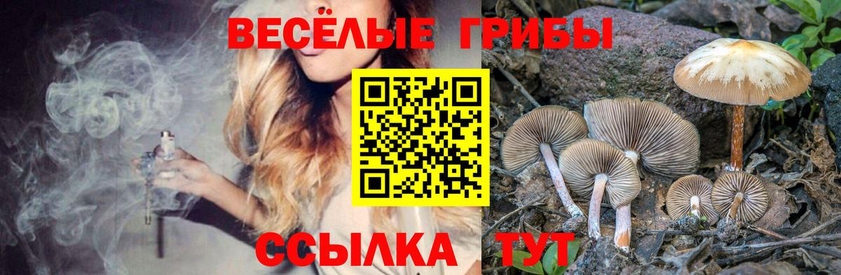 даркнет сайт  Псилоцибиновые грибы ЛСД  Вход с VPN  Псилоцибиновые грибы Magic Shrooms  Конаково 