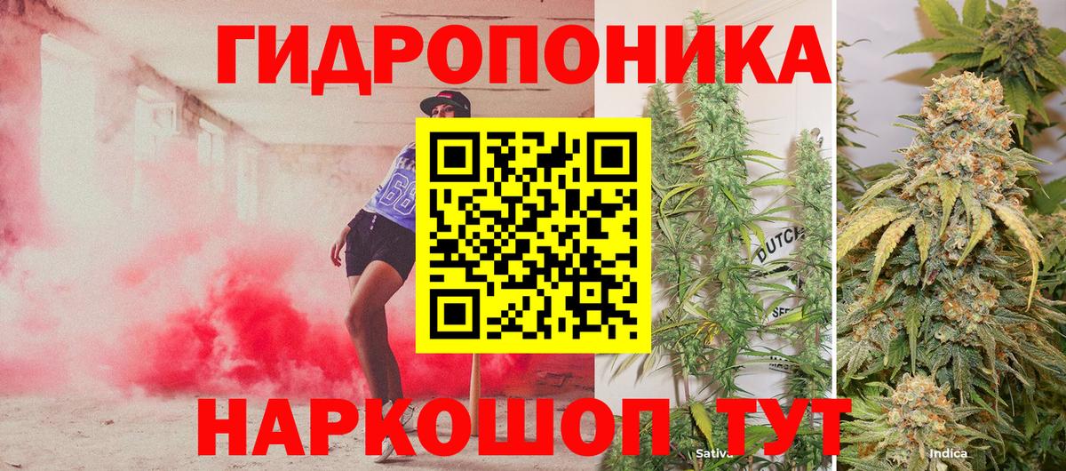 Шишки марихуана конопля  МАРИХУАНА план  Вход с VPN  Конаково  Бошки Шишки LSD WEED  МАРИХУАНА VHQ 
